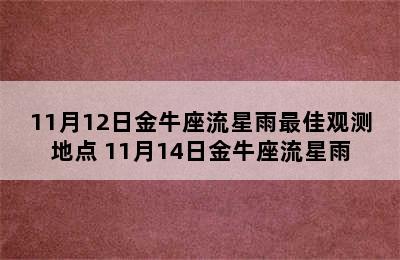 11月12日金牛座流星雨最佳观测地点 11月14日金牛座流星雨